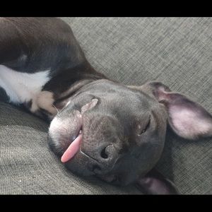 Meet your Posher, Neshia